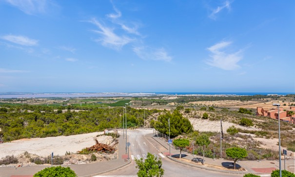 Resale - Freistehende Villa -
San Miguel de Salinas - San Miguel Salinas