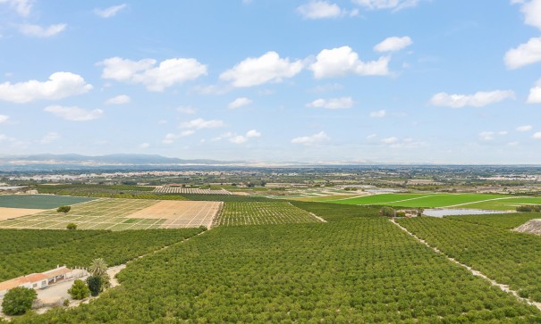 Herverkoop - Vrijstaande Villa -
Algorfa