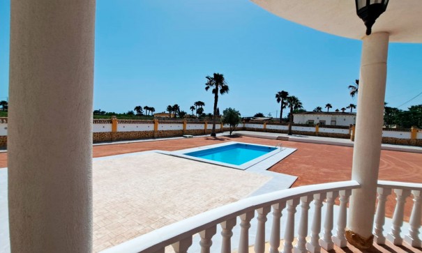 Venta - Finca Propiedad rural -
Catral