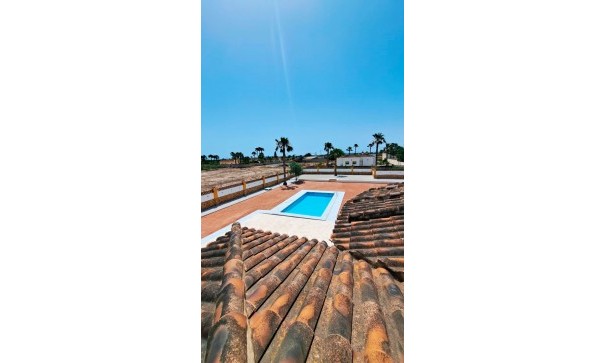 Venta - Finca Propiedad rural -
Catral