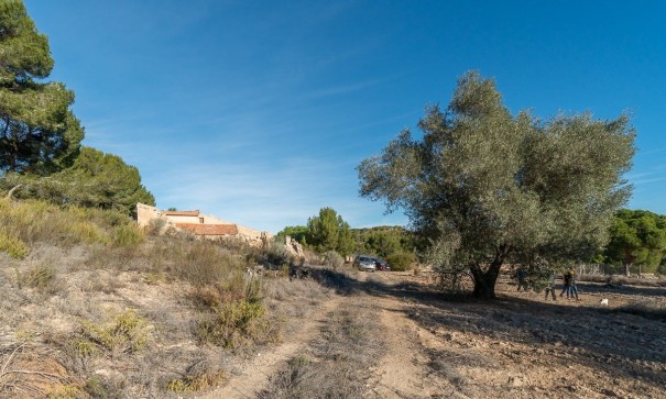 Resale - Finca Landgut -
Pilar de la Horadada - Pinar de la Perdiz