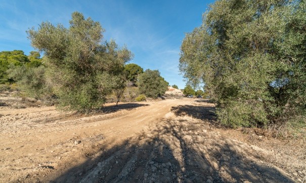 Resale - Finca Landgut -
Pilar de la Horadada - Pinar de la Perdiz