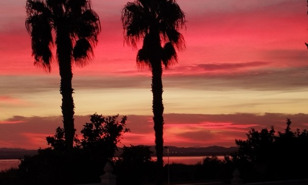 Återförsäljning - Fristående villa -
Torrevieja