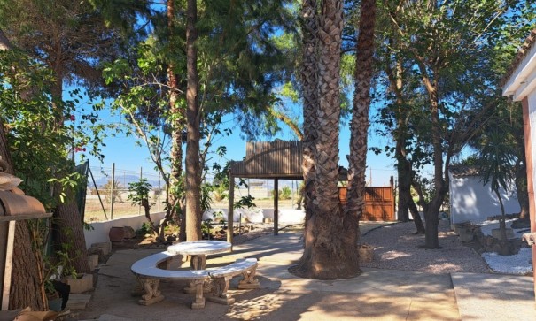 Resale - Finca Landgut -
Orihuela