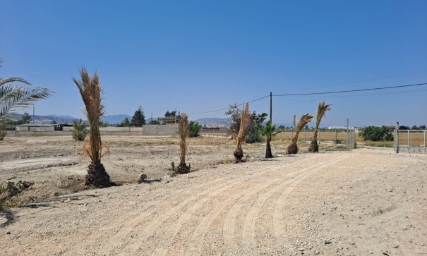 Resale - Finca Landgut -
Orihuela