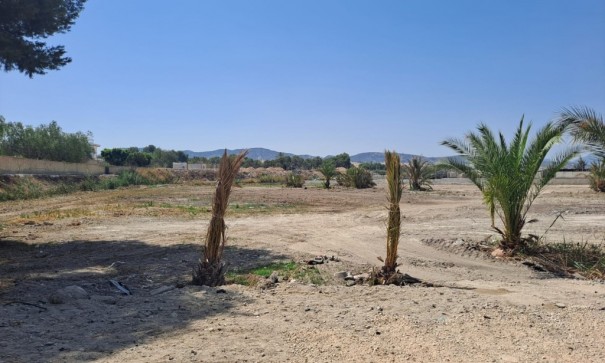 Resale - Finca Landgut -
Orihuela