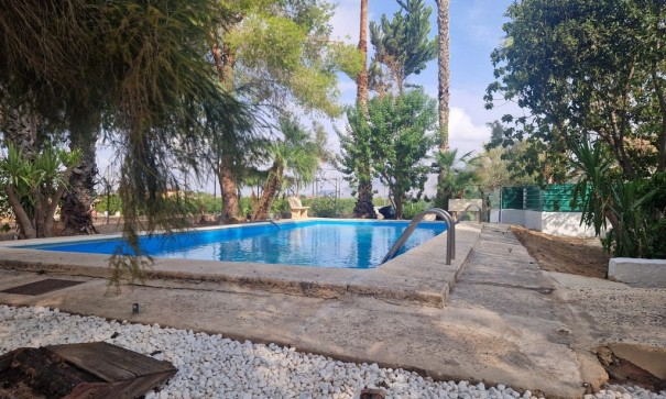 Resale - Finca Landgut -
Orihuela