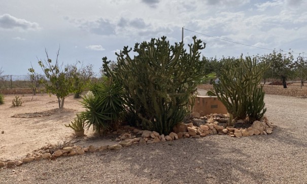 Återförsäljning - Radhus -
Fuente Álamo