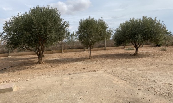 Återförsäljning - Radhus -
Fuente Álamo