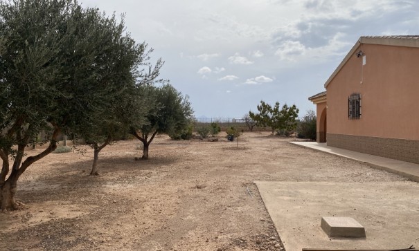 Återförsäljning - Radhus -
Fuente Álamo