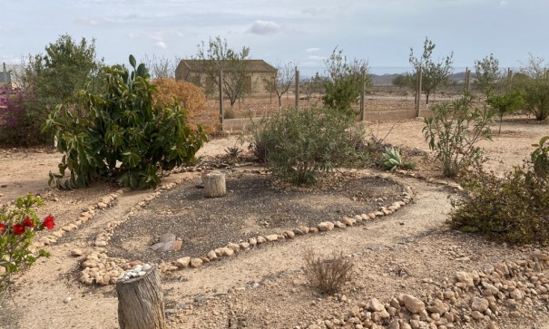 Återförsäljning - Radhus -
Fuente Álamo