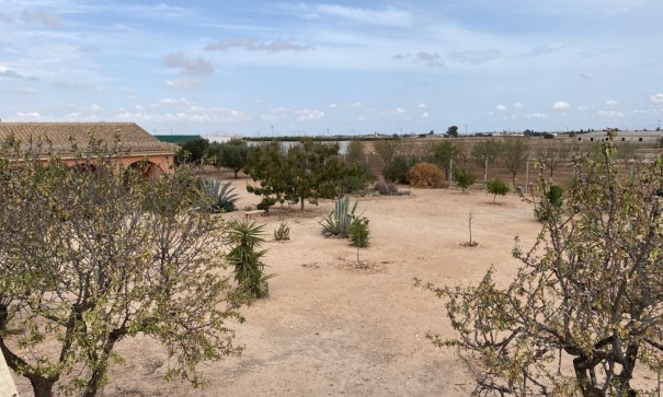 Återförsäljning - Radhus -
Fuente Álamo