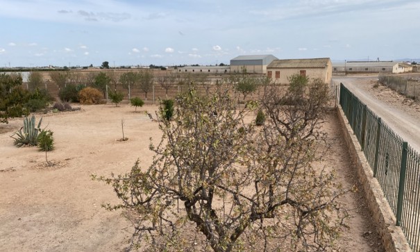 Återförsäljning - Radhus -
Fuente Álamo