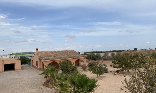 Återförsäljning - Radhus -
Fuente Álamo