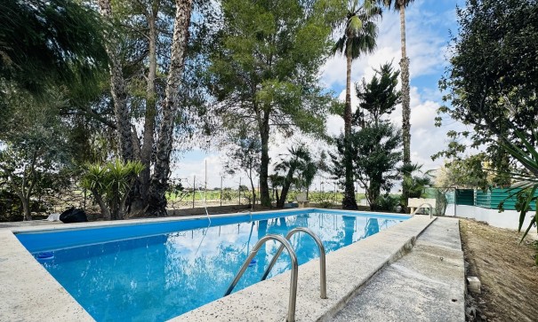 Sale - Detached Villa -
Orihuela