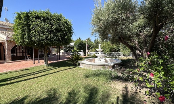 Sprzedaż - Willa wolnostojąca -
Elche