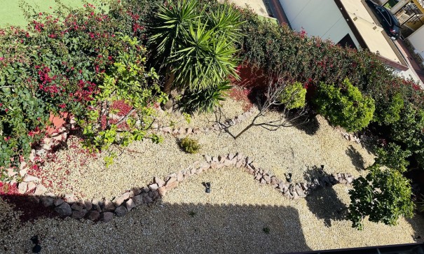 Sprzedaż - Willa wolnostojąca -
Algorfa