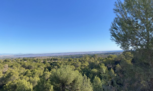 Revente - Villa Individuelle -
San Miguel de Salinas