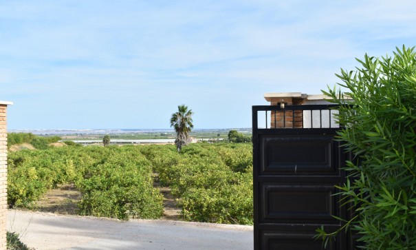 Venta - Chalet Independiente -
Torremendo