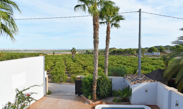 Venta - Chalet Independiente -
Torremendo