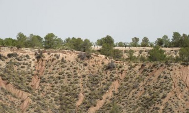 Videresalg - Grund Jord -
Murcia