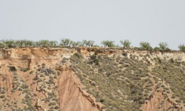 Videresalg - Grund Jord -
Murcia