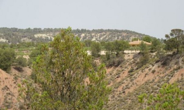 Videresalg - Grund Jord -
Murcia