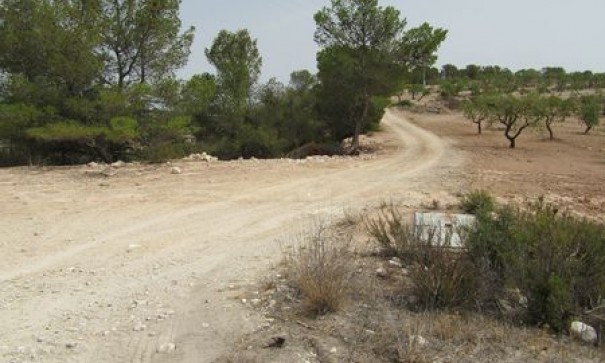 Videresalg - Grund Jord -
Murcia