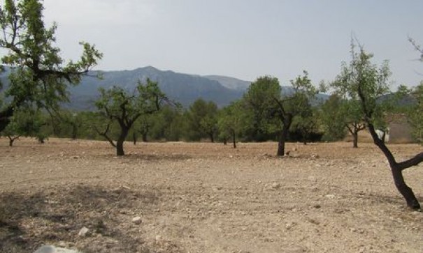 Videresalg - Grund Jord -
Murcia