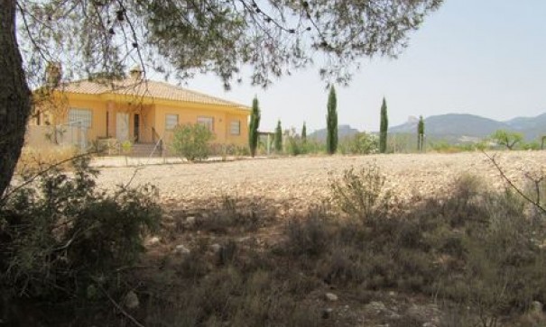 Videresalg - Grund Jord -
Murcia