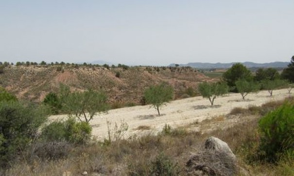 Videresalg - Grund Jord -
Murcia