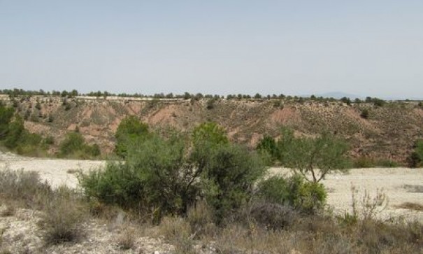 Videresalg - Grund Jord -
Murcia