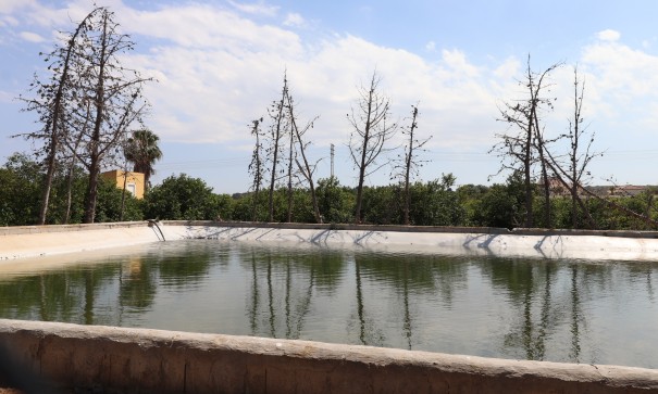 Videresalg - Finca landejendom -
Algorfa