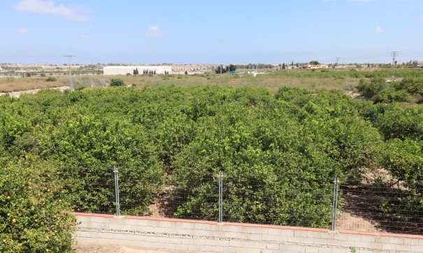 Videresalg - Finca landejendom -
Algorfa