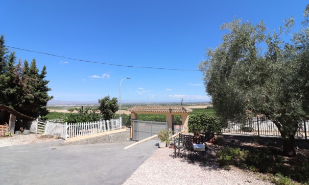 Venta - Chalet Independiente -
Algorfa - Lomas de La Juliana
