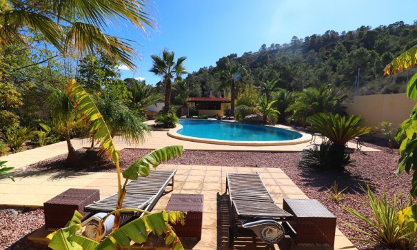 Sprzedaż - Finca nieruchomość wiejska -
Aspe - Aspe - Country