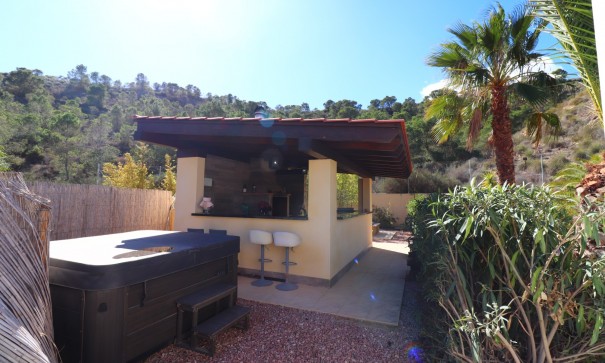 Sprzedaż - Finca nieruchomość wiejska -
Aspe - Aspe - Country