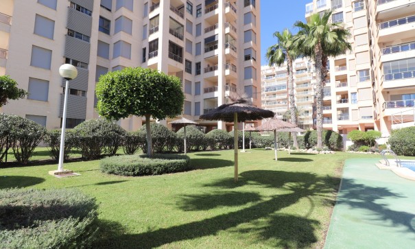 Sale - Apartment Flat -
Guardamar del Segura - Guardamar del Segura - Town