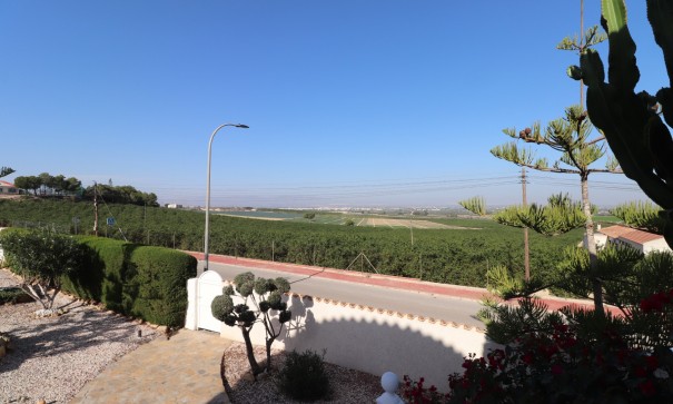 Venta - Chalet Independiente -
Algorfa - Lomas de La Juliana
