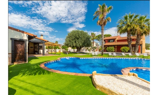 Venta - Chalet Independiente -
Catral - 0