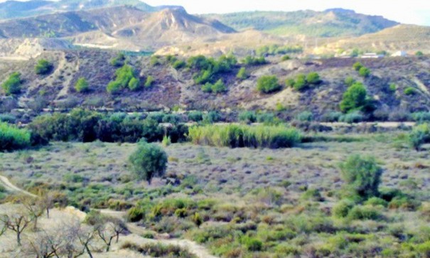 Herverkoop - Perceel Grond -
Torremendo