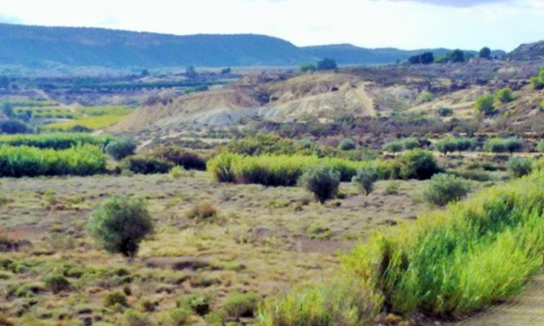 Herverkoop - Perceel Grond -
Torremendo