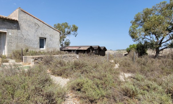 Venta - Finca Propiedad rural -
Torremendo