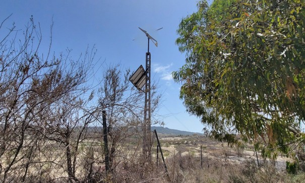 Venta - Finca Propiedad rural -
Torremendo