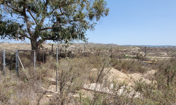 Venta - Finca Propiedad rural -
Torremendo