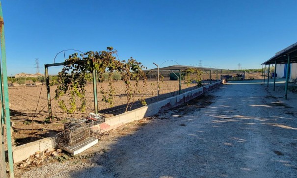 Videresalg - Finca landejendom -
San Miguel de Salinas