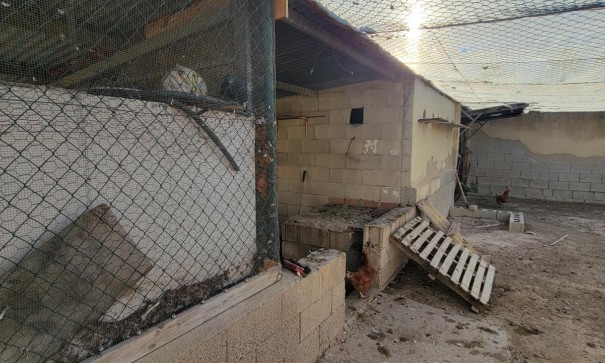 Videresalg - Finca landejendom -
San Miguel de Salinas