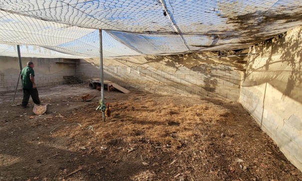 Videresalg - Finca landejendom -
San Miguel de Salinas