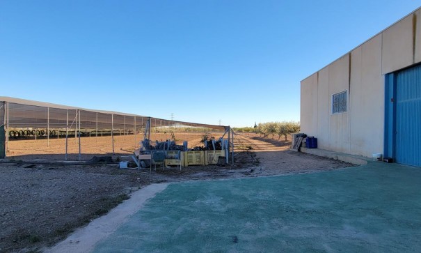 Videresalg - Finca landejendom -
San Miguel de Salinas