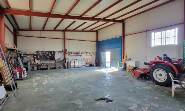 Videresalg - Finca landejendom -
San Miguel de Salinas